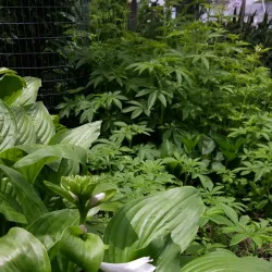 Lancaster City Park - Lancaster