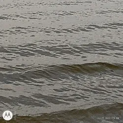 Alum Creek State Park - Lewis Center