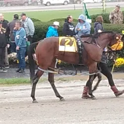 Delaware County Fairgrounds - Lewis Center