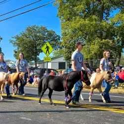 Delaware County Fairgrounds - Lewis Center