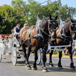 Delaware County Fairgrounds - Lewis Center
