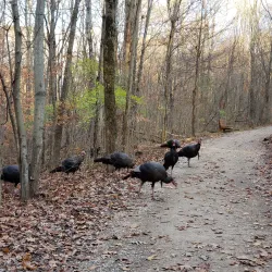 Highbanks Metro Park - Lewis Center