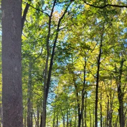 Highbanks Metro Park - Lewis Center