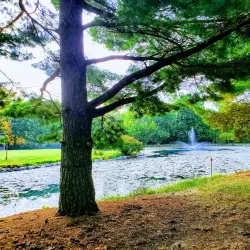 Lewis Center Community Park - Lewis Center