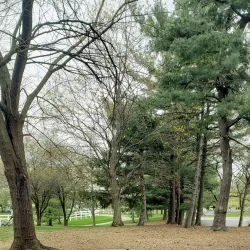 Lewis Center Community Park - Lewis Center