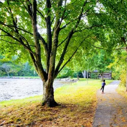 Lewis Center Community Park - Lewis Center