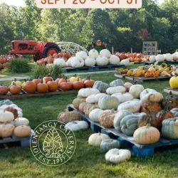 Olentangy Indian Caverns - Lewis Center