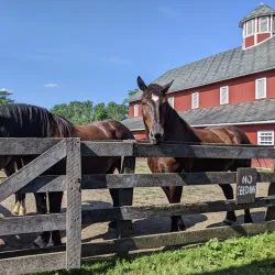 Slate Run Metro Park - Lewis Center