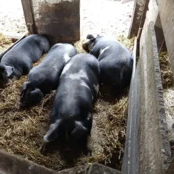 Slate Run Metro Park - Lewis Center