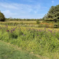 The Golf Club at St. Albans - Lewis Center