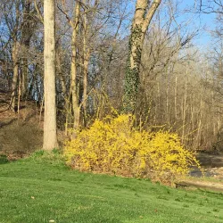 The Golf Club at St. Albans - Lewis Center