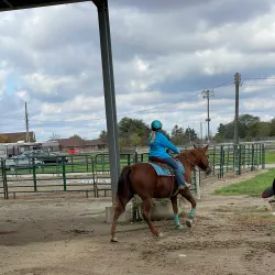 Madison County Fairgrounds - London