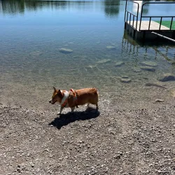 Prairie Oaks Metro Park - London