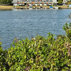 Black River Landing - Lorain