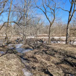 Black River Park - Lorain