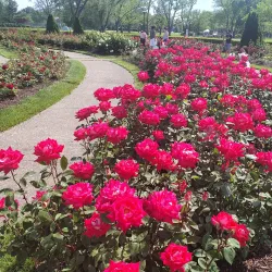 Lakeview Park - Lorain