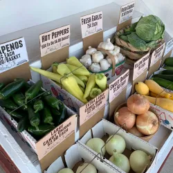 Lorain Farmers Market - Lorain