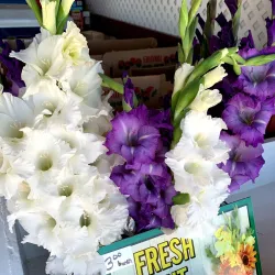 Lorain Farmers Market - Lorain