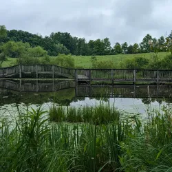 Gorman Nature Center - Mansfield