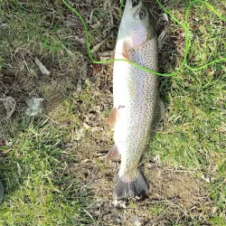 Pine Hill Lakes Park - Mason