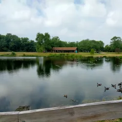 Pine Hill Lakes Park - Mason