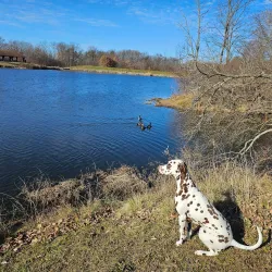 Pine Hill Lakes Park - Mason