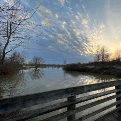 Buckeye Woods Park - Medina