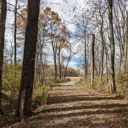 Buckeye Woods Park - Medina
