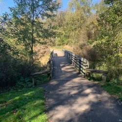 Buckeye Woods Park - Medina