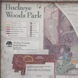 Buckeye Woods Park - Medina