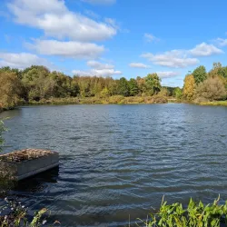 Buckeye Woods Park - Medina