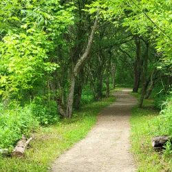 Buckeye Woods Park - Medina