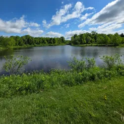 Buckeye Woods Park - Medina