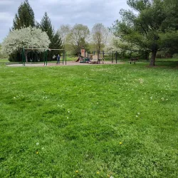 Buckeye Woods Park - Medina