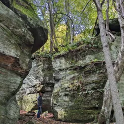 Liberty Park - Medina