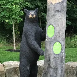 Liberty Park - Medina