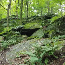 Liberty Park - Medina