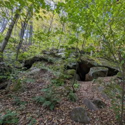 Liberty Park - Medina