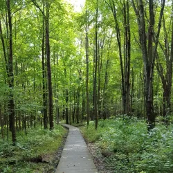 Liberty Park - Medina