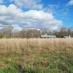 Liberty Park - Medina