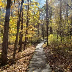 Liberty Park - Medina