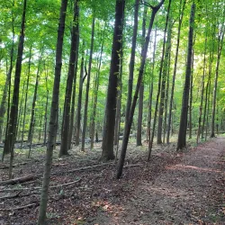 Medina County Park District Trails - Medina