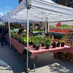 Medina Farmers Market - Medina