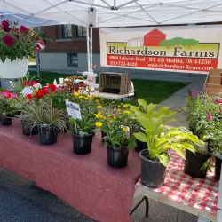 Medina Farmers Market - Medina