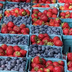 Medina Farmers Market - Medina