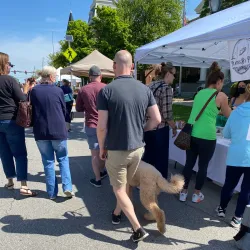 Medina Farmers Market - Medina