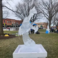 Medina Public Square Historic District - Medina