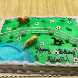 Medina Skate Park - Medina