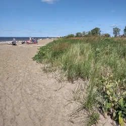Headlands Beach State Park - Mentor