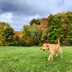 Lake Metroparks Farmpark - Mentor